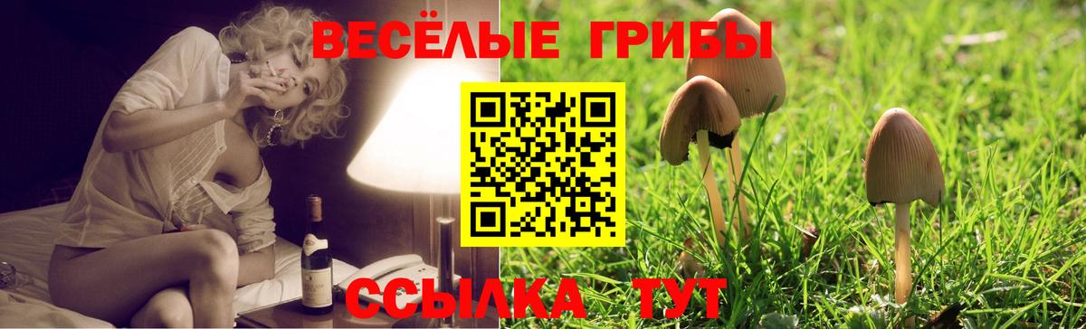 купить наркотик  Псилоцибиновые грибы Psilocybine cubensis  Вход с VPN  Богданович 