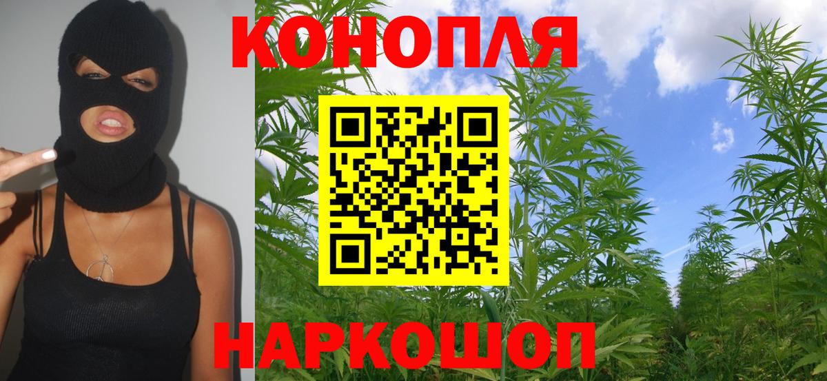 Богданович  Конопля планчик  Канабис SATIVA & INDICA  Вход с VPN  Каннабис план 