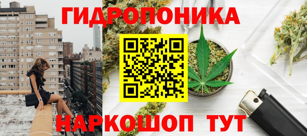 Бошки Шишки Amnesia Богданович